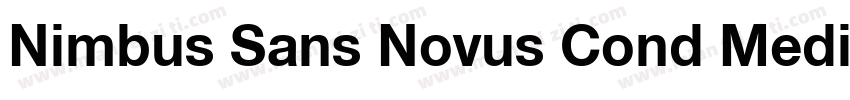Nimbus Sans Novus Cond Medium字体转换